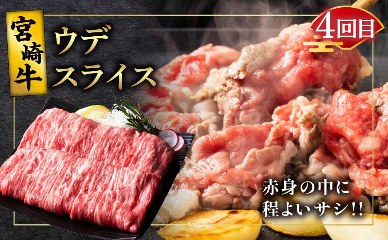 6か月お楽しみ定期便『宮崎牛スペシャル6種セット』総重量4.6kg 肉 牛 牛肉 焼肉 国産_T009-0022