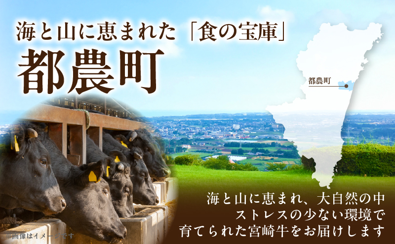 宮崎牛ロース(焼肉用)計800g 肉 牛 牛肉 国産_T050-004