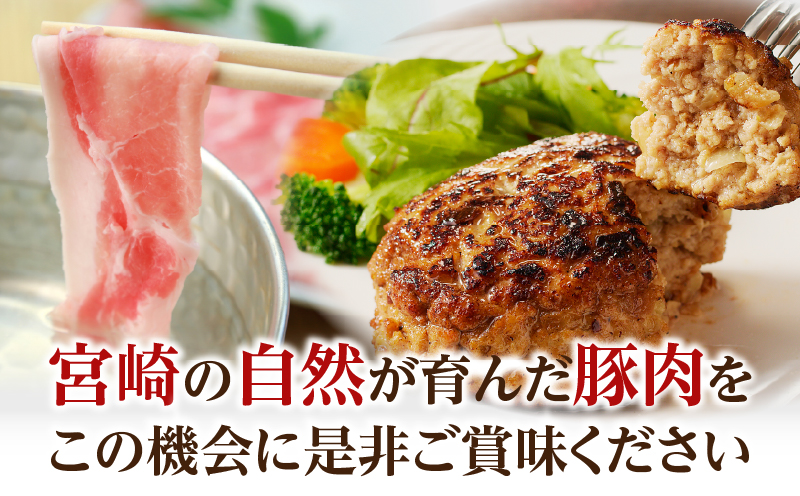 【内容量・2週間以内・発送月が選べる】宮崎県産 豚肉6種 ＼てげスゲーセット／ 2kg 3kg 4.5kg