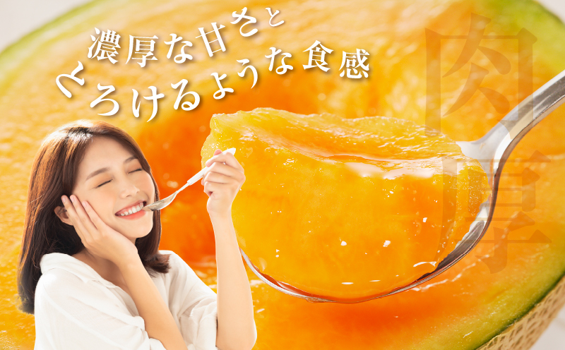 先行予約≪期間限定≫都農町産「赤肉メロン」計2玉 フルーツ 果物 デザート 国産_T015-0061-F