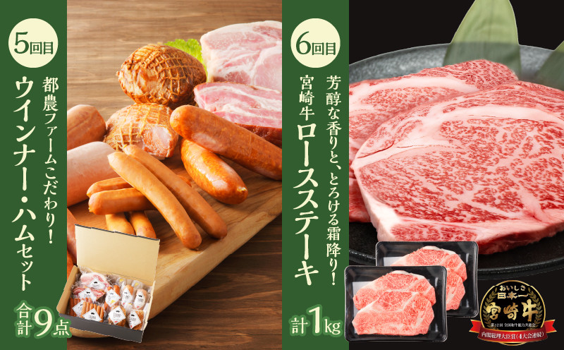 ≪6か月お楽しみ定期便≫都農町定期便(松) 肉 加工品 鰻 国産_T999-0076