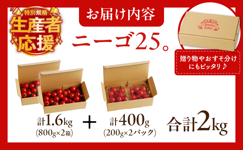 生産者応援!!【期間・数量限定特別規格】高糖度ミニトマト『ニーゴ25。』(計2kg) ミニトマト 野菜 サラダ 国産_T040-0021-ZO