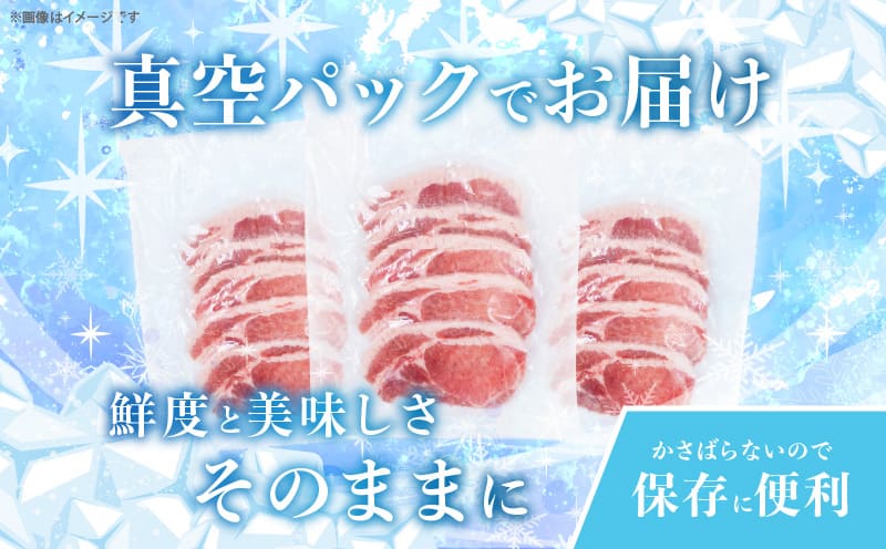 ≪宮崎ブランドポーク≫ロース(トンテキ・とんかつ用)計1kg 肉 豚 　豚肉 国産_T023-0111