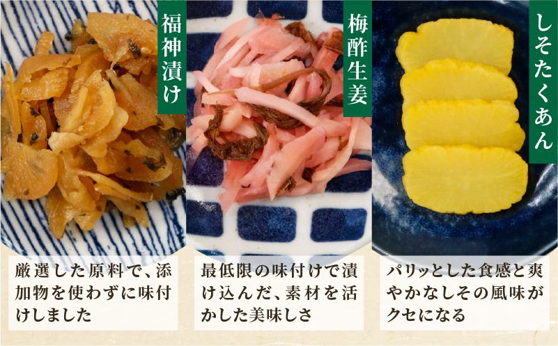 【2週間以内発送】お漬物＆惣菜10種のギフトセット(合計1kg) 漬物 おかず 野菜 加工品 国産_T037-0081