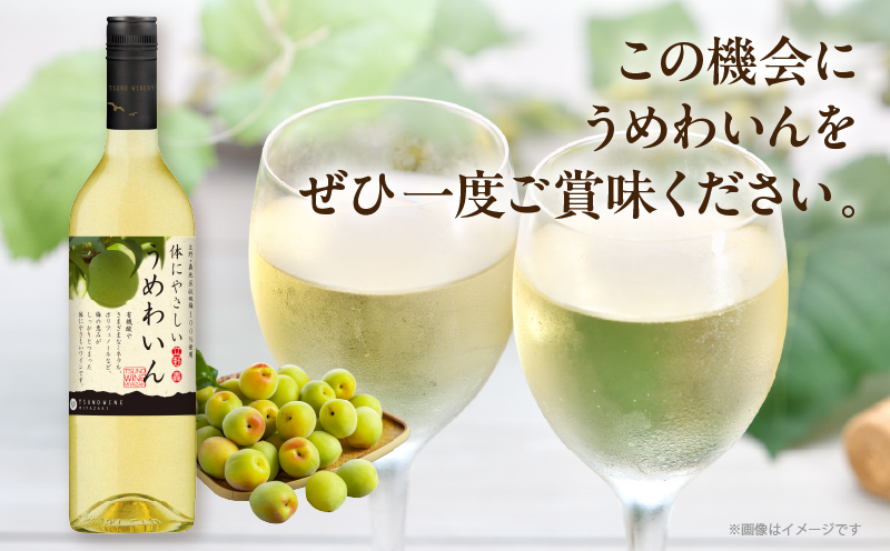 【数量限定】うめわいん(計1本) 酒 飲料 アルコール 国産_T014-029