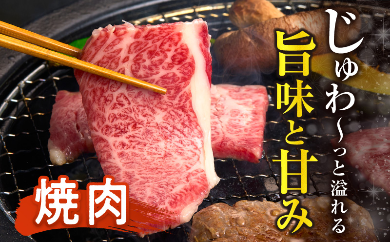 ≪肉質等級4等級以上≫黒毛和牛赤身焼肉(計500g) 肉 牛 牛肉 国産_T030-0923