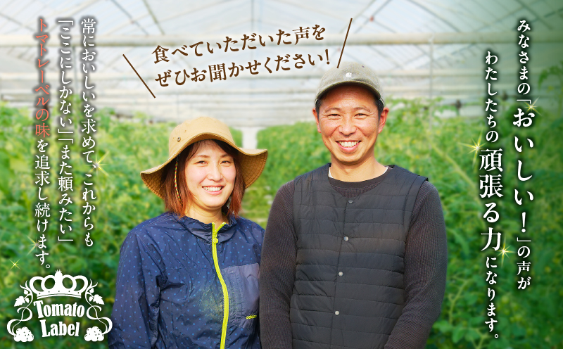 先行予約≪期間限定≫オレンジリトル（計1.6kg） ミニトマト 野菜 サラダ 国産_T040-0011