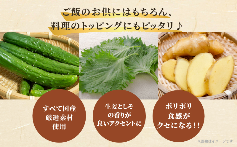 ＼ポスト投函／ひょうすんぼ漬け 計2袋 漬物 おかず 野菜 加工品 国産_T037-0121