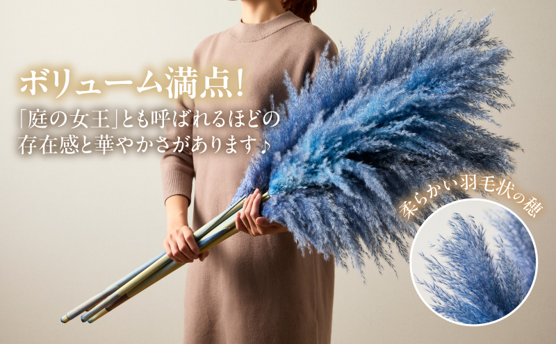 【2週間以内発送】ドライパンパスグラス（ブルー）計5本 すすき インテリア 国産_T057-002