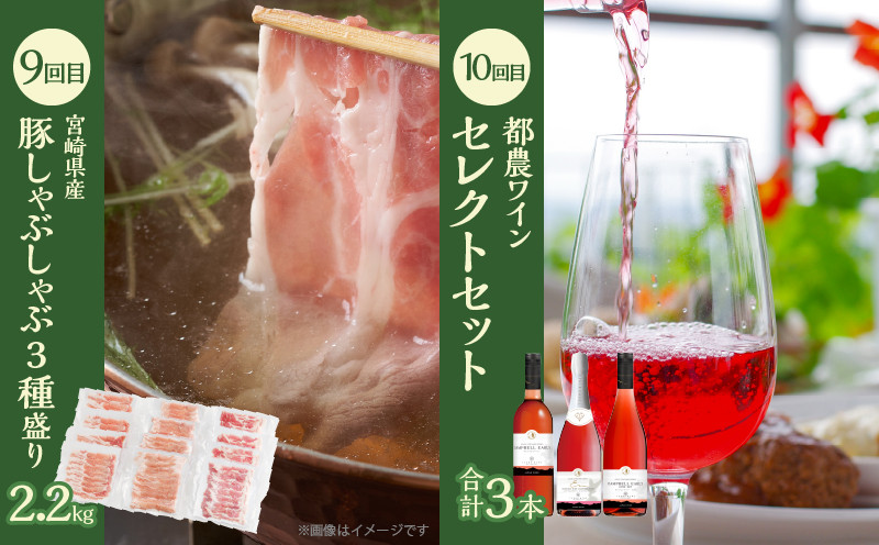 ≪12か月お楽しみ定期便≫都農町定期便(梅) 肉 加工品 デザート 国産_T999-0086