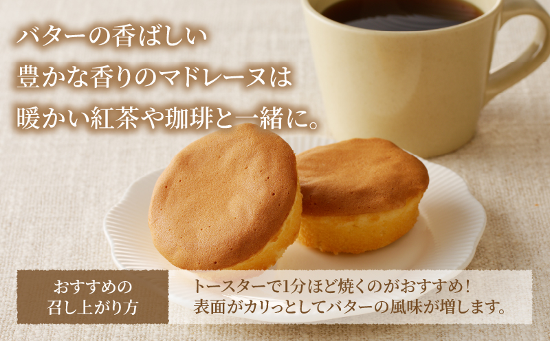 【2週間以内発送】老舗菓子舗のマドレーヌ(こしあん入り)計10個 焼き菓子 スイーツ 詰め合わせ 洋菓子_T035-0041