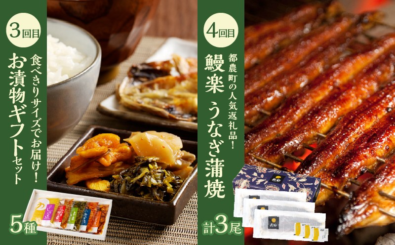 ≪12か月お楽しみ定期便≫都農町定期便(松) 肉 加工品 デザート 国産_T999-0106