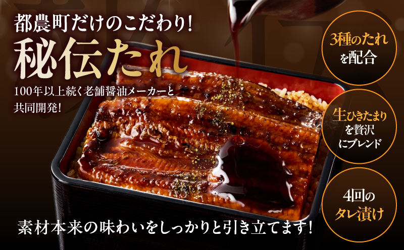 【2週間以内発送・選べる3回定期便】うなぎ蒲焼特大2尾(さんしょう・たれ付き)計380g以上
