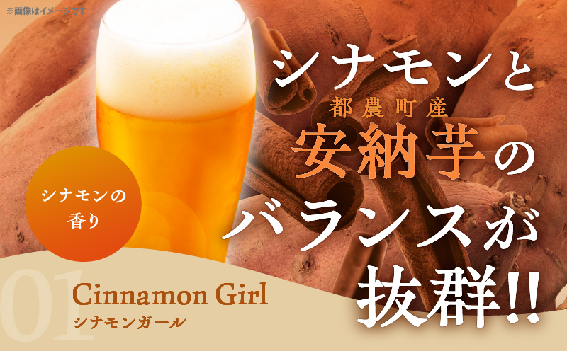 【2週間以内発送】都農クラフトビール詰め合わせ6本セット 酒 アルコール 飲料 国産_T016-0031