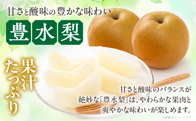 先行予約≪期間限定≫まるみ観光果樹園の『豊水梨』(約3kg) なし 果物 フルーツ 天然 ミネラル栽培_T036-0015