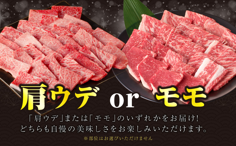 ≪肉質等級4等級以上≫黒毛和牛赤身焼肉(計500g) 肉 牛 牛肉 国産_T030-0923