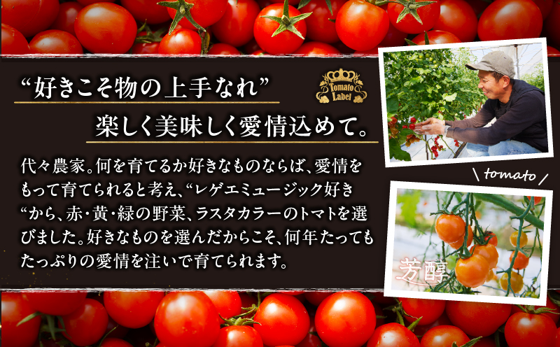 生産者応援!!【期間・数量限定特別規格】オレンジリトル（計2kg） ミニトマト 野菜 サラダ 国産_T040-0011-ZO