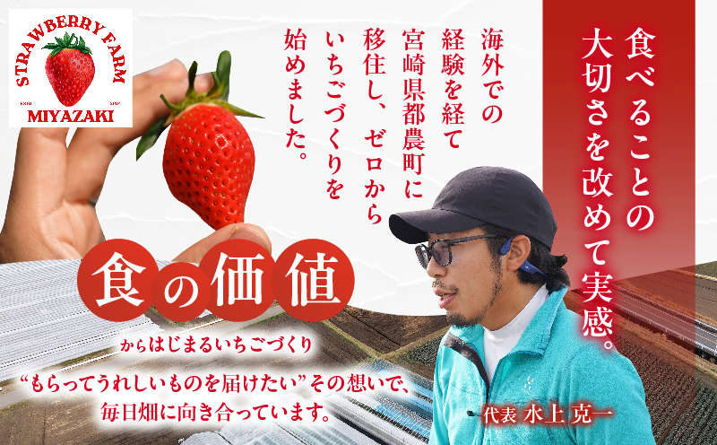 ≪数量限定≫都農町産いちご「やよいひめ」計1kg フルーツ 果物 デザート イチゴ 国産_T059-0025