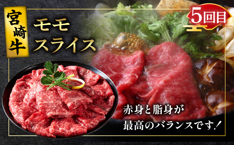 6か月お楽しみ定期便『宮崎牛スペシャル6種セット』総重量4.6kg 肉 牛 牛肉 焼肉 国産_T009-0022