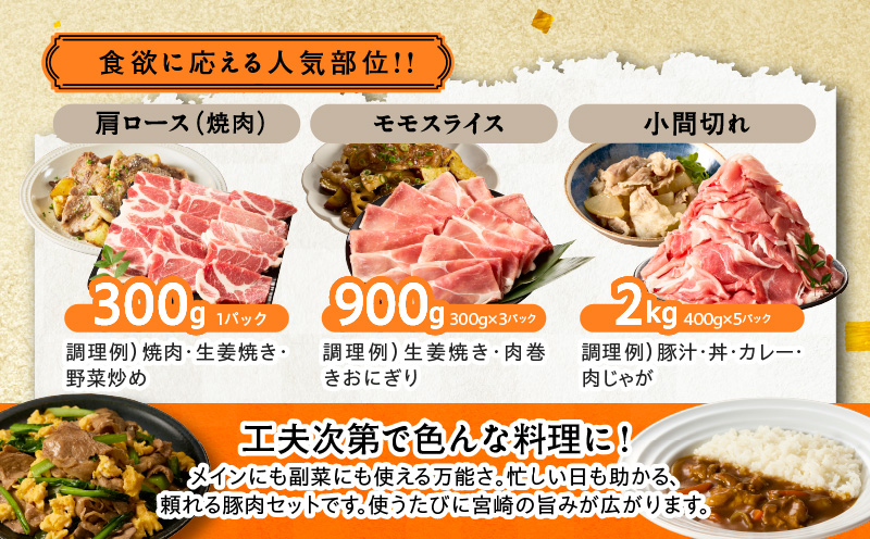 宮崎県産豚肉6種盛り合わせセット(合計4.1kg) 肉 豚 豚肉 おかず 国産_T030-204