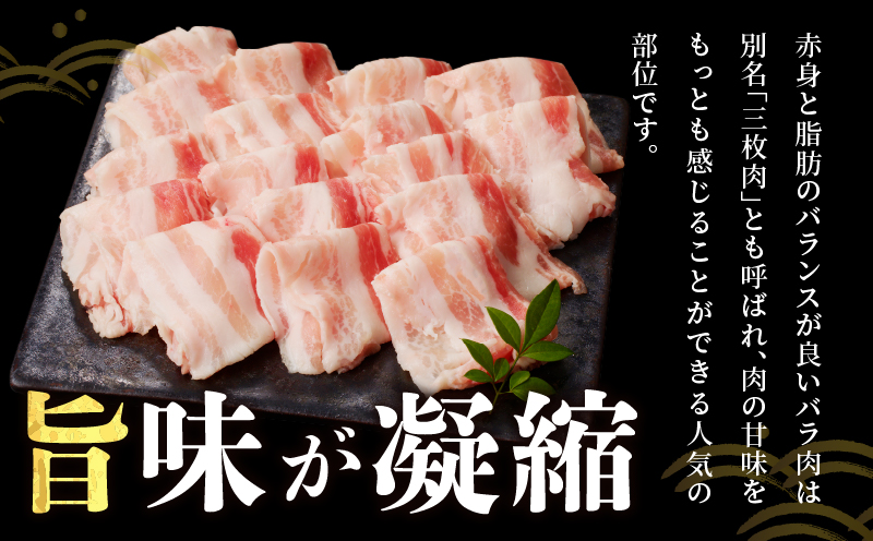 宮崎県産豚バラしゃぶしゃぶ用(計1kg) 肉 豚 豚肉 おかず 国産_T009-0133