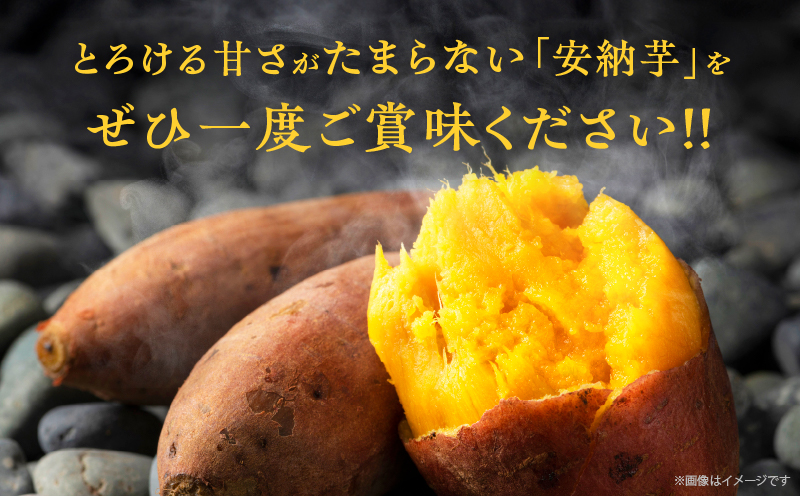 先行予約≪期間限定≫都農町産安納芋(計5kg) 野菜 芋 イモ 国産_T016-0011