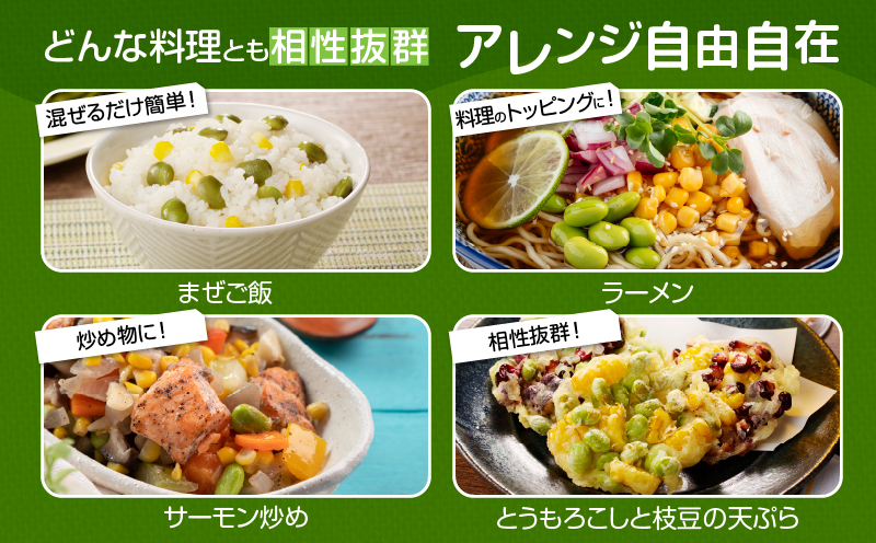 先行予約≪期間限定≫枝豆(茶豆風味・茶豆)計1.25kg お試し用 野菜 旬 国産_T003-0055