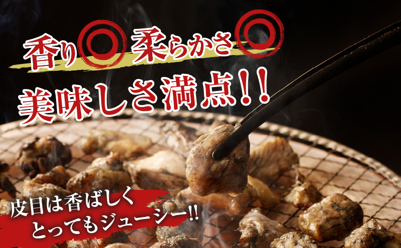 宮崎県産若鶏モモ肉切身＆炭火焼セット(合計2.25kg) 鶏肉 加工品 国産_T017-0031