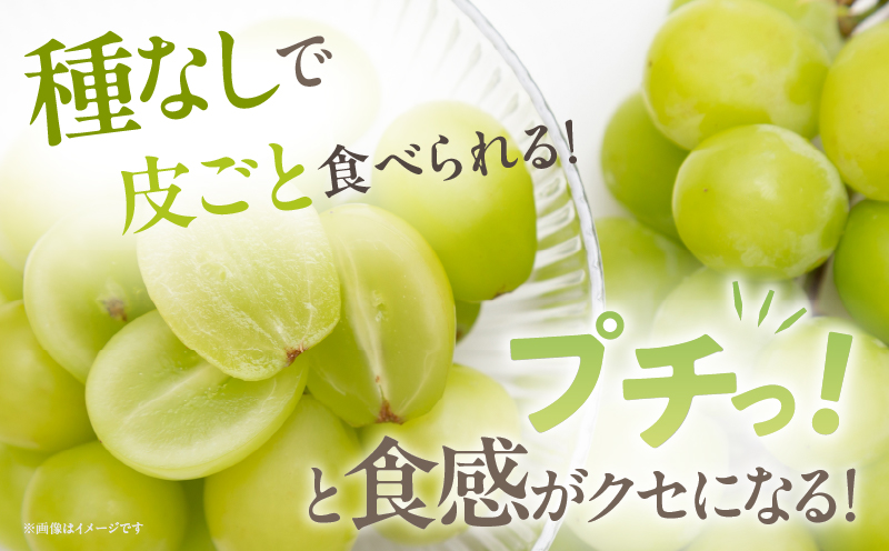 先行予約≪期間限定≫都農町産シャインマスカット(計1kg) ぶどう 果物 国産_T010-0025