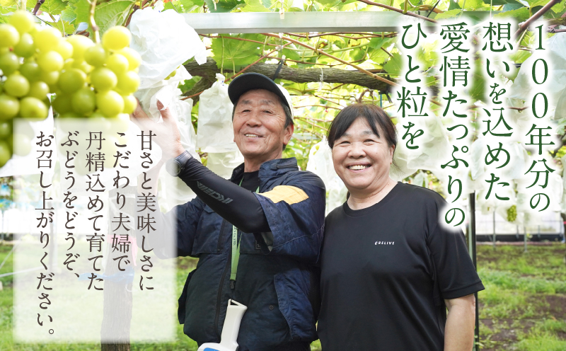 先行予約≪期間限定≫都農町産シャインマスカット(計1kg) ぶどう 果物 国産_T010-0025
