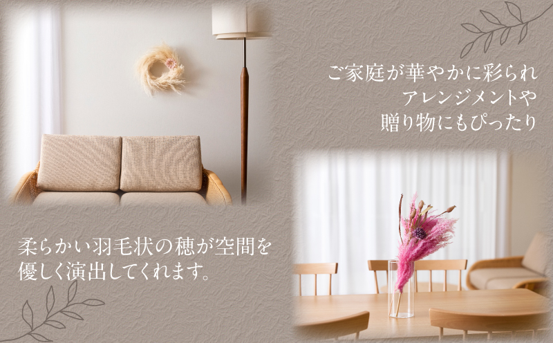 【2週間以内発送】ドライパンパスグラス（ピンク）計5本 すすき インテリア 国産_T057-004