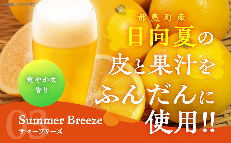 【2週間以内発送】都農クラフトビール詰め合わせ6本セット 酒 アルコール 飲料 国産_T016-0031