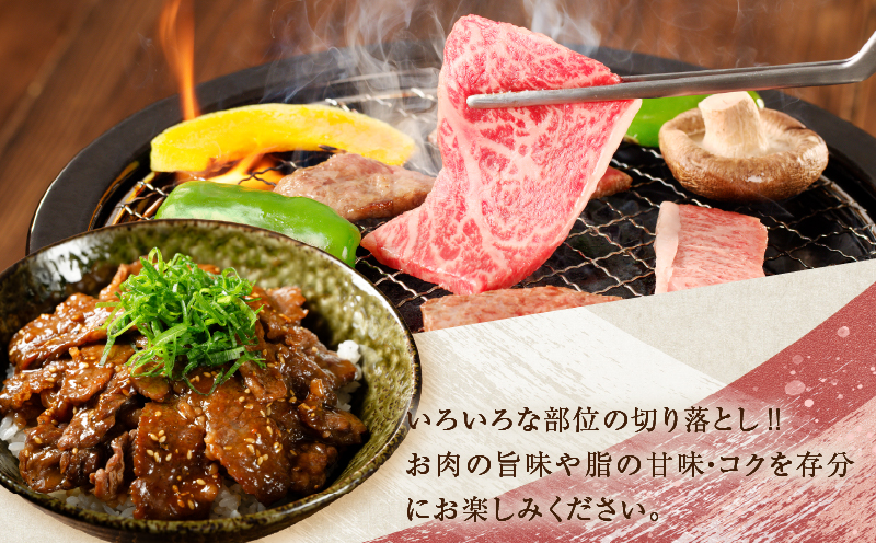 ≪数量限定≫うなぎ×宮崎牛 都農町最強セットC 肉 牛 牛肉 焼肉 国産_T030-1313