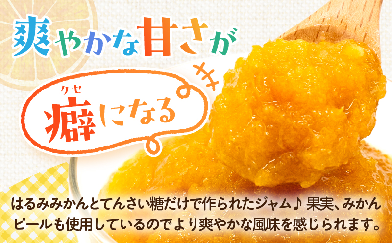 TSUNO JAM2種食べ比べセット(合計2個) 加工食品 フルーツ 果物 国産_T043-009