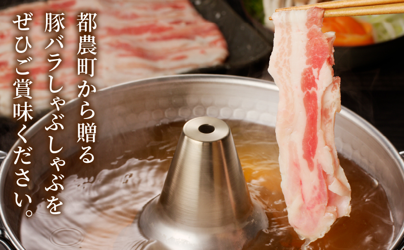 宮崎県産豚バラしゃぶしゃぶ用(計1kg) 肉 豚 豚肉 おかず 国産_T009-0133