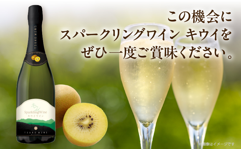 【数量限定】スパークリングワイン キウイ(計1本)酒 飲料 アルコール 国産_T014-023