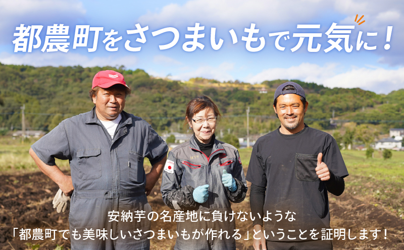 【選べる内容量】冷やし焼き芋(安納芋・紅はるか) 合計800g〜2kg