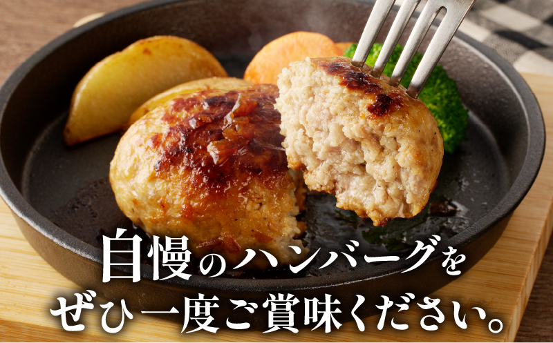 宮崎県産豚プレミアムハンバーグ(計10個) 肉 豚肉 加工品 惣菜 国産_T001-0101