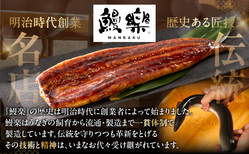 うなぎ蒲焼特大3尾(さんしょう・たれ付き)計600g以上 鰻 魚 魚介 加工品 国産_T026-0021
