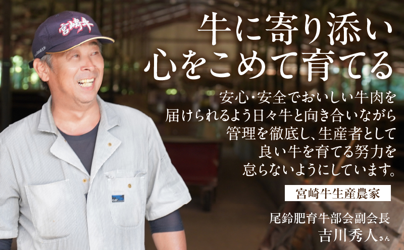 宮崎牛ロース(焼肉用)計400g 肉 牛 牛肉 国産_T050-0031