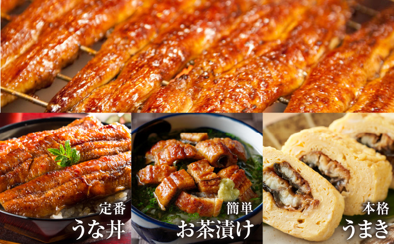 ≪定期便≫＼1か月に2回お届け!!／宮崎牛ロースステーキ×うなぎ蒲焼★最強コンビ 肉 牛肉 鰻 魚介 国産_T999-0026