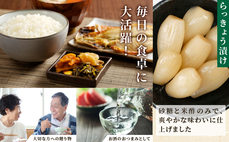 【2週間以内発送】お漬物＆惣菜10種のギフトセット(合計1kg) 漬物 おかず 野菜 加工品 国産_T037-0081