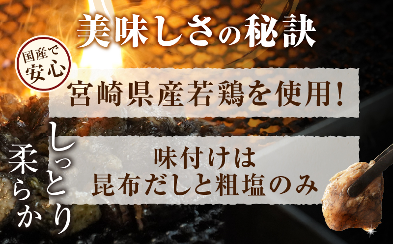 宮崎県産若鶏炭火焼(計4.2kg) 肉 鶏肉 加工品 国産_T017-013