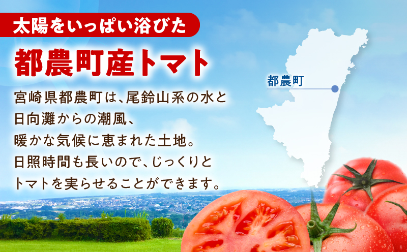 ＼年内発送!!／「都農めぐるトマト」ドレッシング計1本 とまと サラダ 加工品 国産_T054-001-N