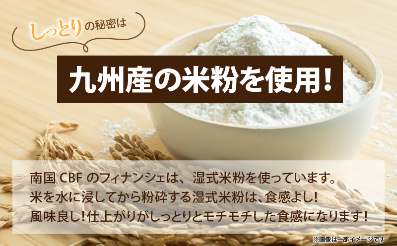 【2週間以内発送】≪グルテンフリー≫米粉のフィナンシェ(計10個) スイーツ お菓子 国産_T038-0071