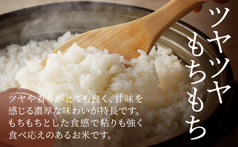 先行予約≪都農町産≫新米コシヒカリ(5kg) 米 お米 ご飯 国産_T031-0015