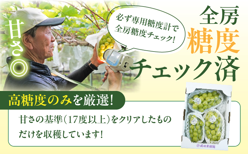 先行予約≪期間限定≫都農町産シャインマスカット(計2kg) ぶどう 果物 国産_T010-0015
