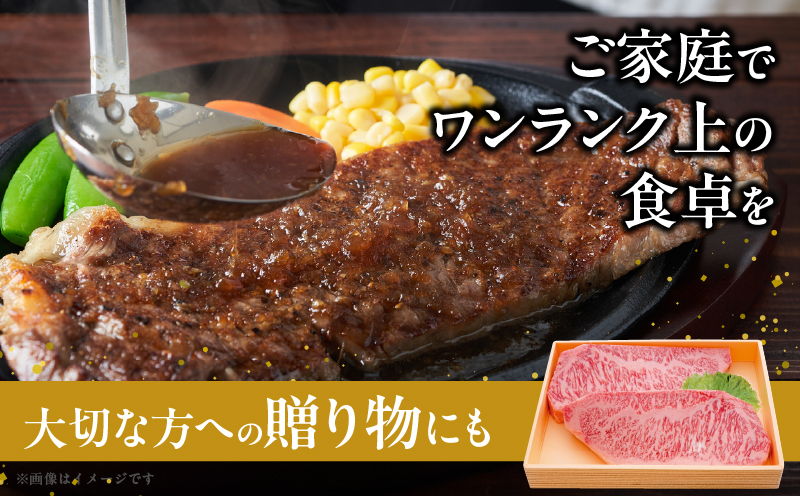宮崎牛サーロインステーキ(計800g) 肉 牛 牛肉 国産_T050-002
