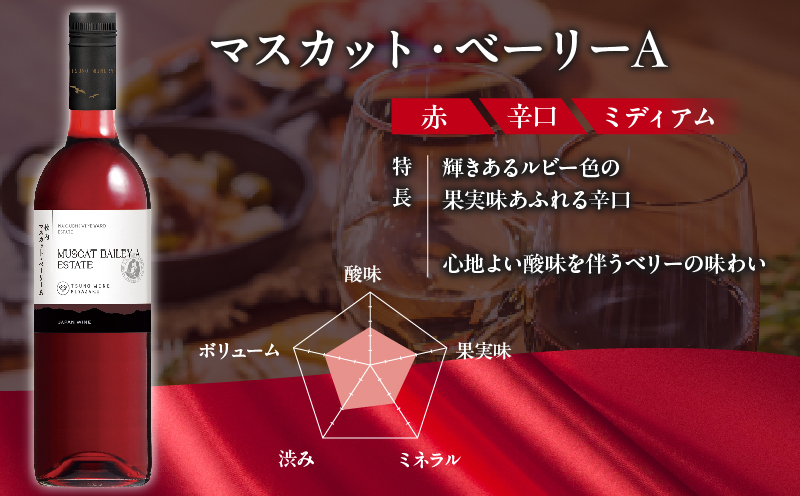 【数量限定】マスカットベリーベリー2本セット ワイン 酒 飲料 アルコール 国産_T014-057