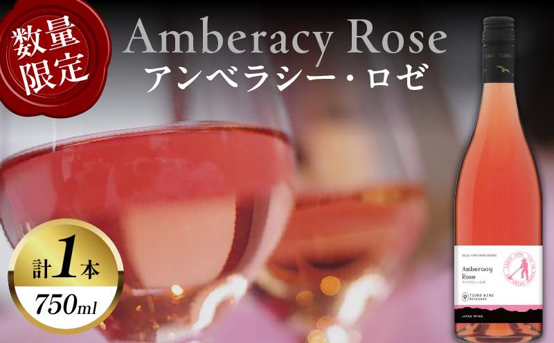【数量限定】アンベラシー ロゼ(計1本) ワイン 酒 アルコール 国産_T014-047